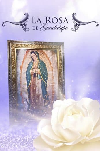 La rosa de Guadalupe – Capítulo 1